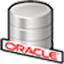 Oracle RDBMS database