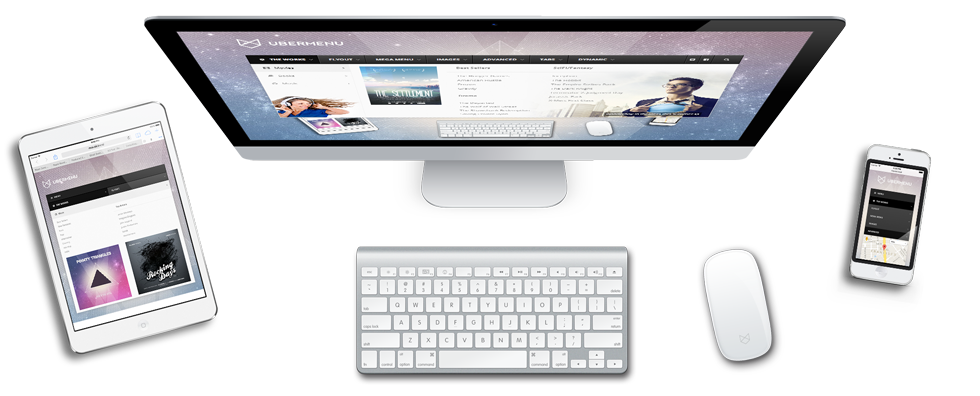 Software Development